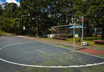 Netball Court