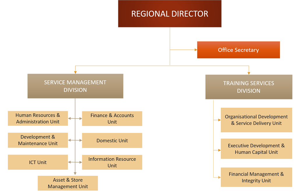 INTIM Organisational Chart 