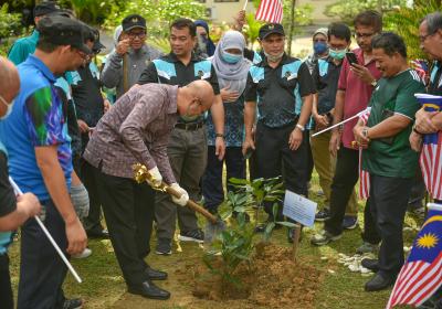 Tanam Pokok 10 Of 27