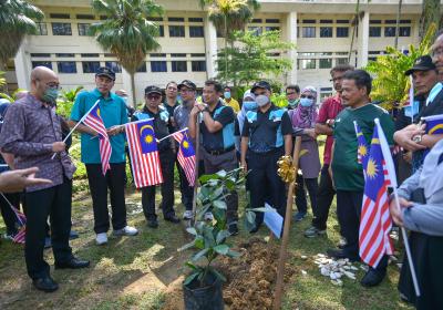 Tanam Pokok 7 Of 27