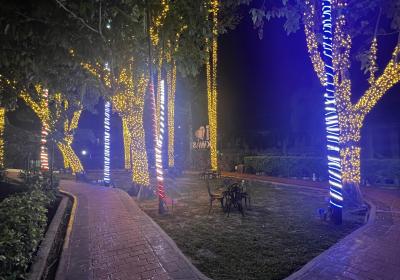 Laman Terapi