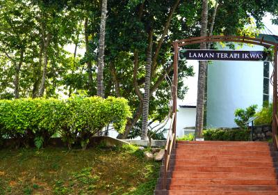 Laman Terapi