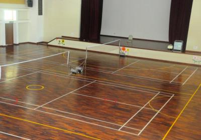 Badminton Court